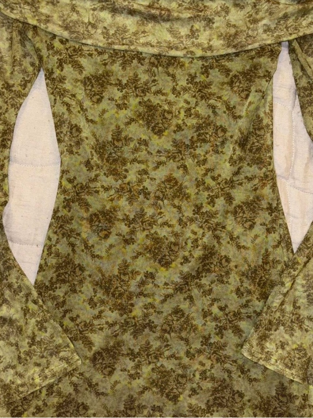 Urban Outfitters Olive Green Floral Burnout Velvet Top